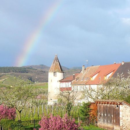 Hotel Munsch Restaurant & Wellness, Colmar Nord - Haut-Koenigsbourg Saint-Hippolyte  Exterior photo