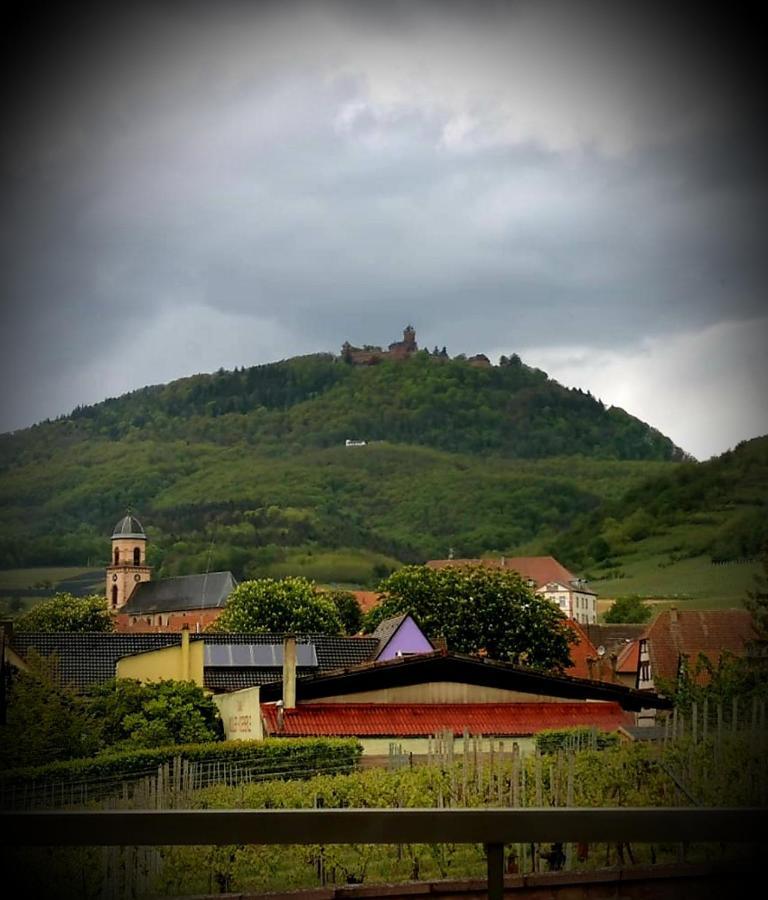Hotel Munsch Restaurant & Wellness, Colmar Nord - Haut-Koenigsbourg Saint-Hippolyte  Exterior photo